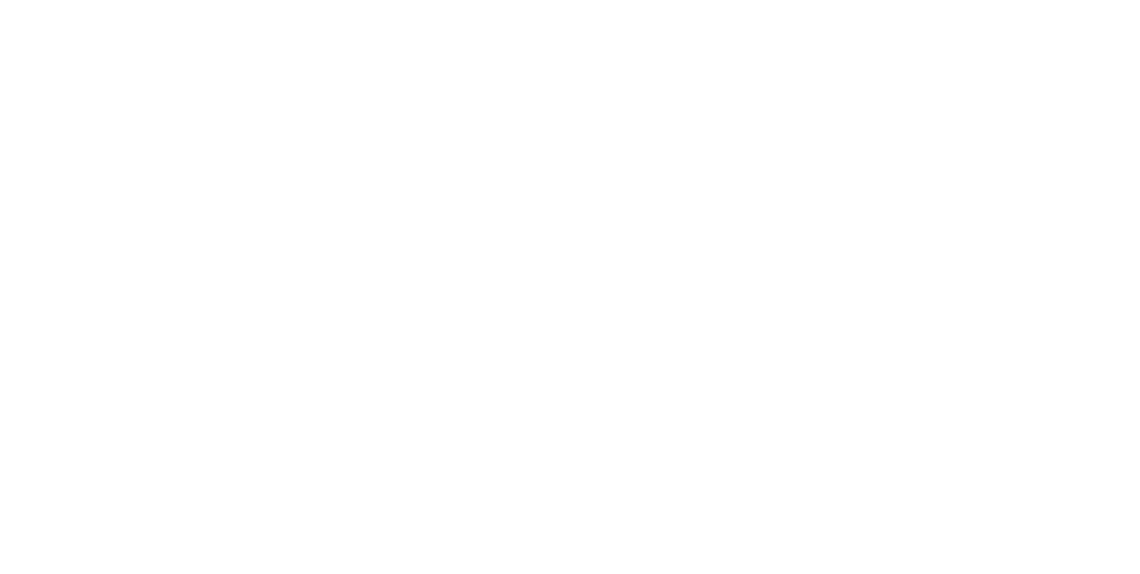 ALS — Air Land & Sea, Servicios Aduanales Internacionales